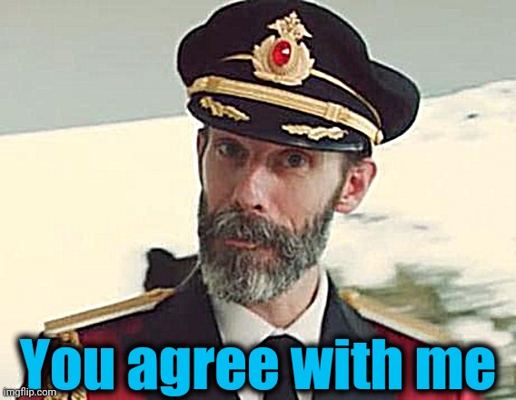 Captain Obvious | You agree with me | image tagged in captain obvious | made w/ Imgflip meme maker