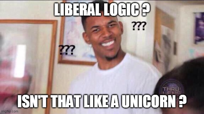 Black guy confused | LIBERAL LOGIC ? ISN'T THAT LIKE A UNICORN ? | image tagged in black guy confused | made w/ Imgflip meme maker