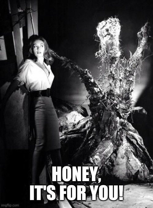 Honey It's for you | HONEY, IT'S FOR YOU! | image tagged in funny memes | made w/ Imgflip meme maker