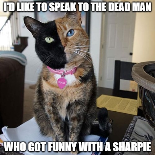 Stupid drunks with Sharpies | I'D LIKE TO SPEAK TO THE DEAD MAN; WHO GOT FUNNY WITH A SHARPIE | image tagged in sharpies,memes,fun,funny,funny memes,cats | made w/ Imgflip meme maker