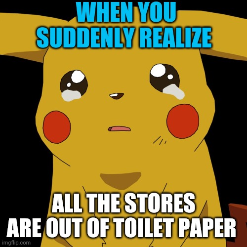 When you realize all the stores are out of Toilet Paper | WHEN YOU SUDDENLY REALIZE; ALL THE STORES ARE OUT OF TOILET PAPER | image tagged in pokemon,no more toilet paper,coronavirus,covid-19,covid19,pikachu crying | made w/ Imgflip meme maker