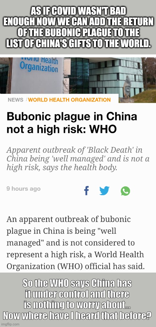 AS IF COVID WASN'T BAD ENOUGH NOW WE CAN ADD THE RETURN OF THE BUBONIC PLAGUE TO THE LIST OF CHINA'S GIFTS TO THE WORLD. So the WHO says China has it under control and there is nothing to worry about...
Now where have I heard that before? | image tagged in the black death | made w/ Imgflip meme maker