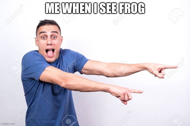 ME WHEN I SEE FROG | image tagged in frog | made w/ Imgflip meme maker