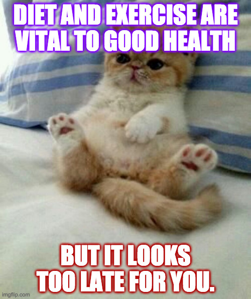 Me as a cat! | DIET AND EXERCISE ARE
VITAL TO GOOD HEALTH; BUT IT LOOKS TOO LATE FOR YOU. | image tagged in advice cat,memes | made w/ Imgflip meme maker