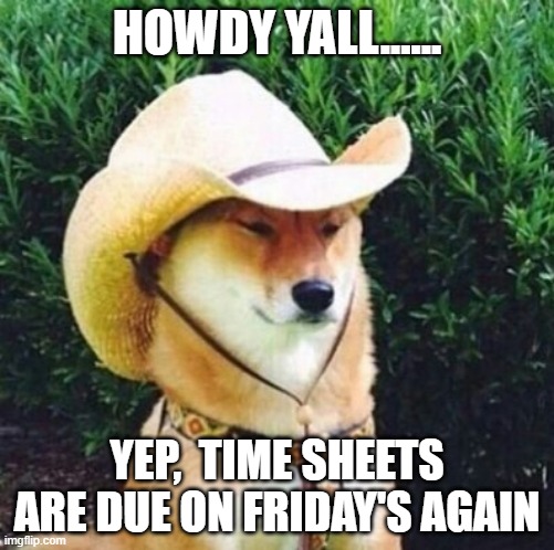 Wot in Tarnation Dog | HOWDY YALL...... YEP,  TIME SHEETS ARE DUE ON FRIDAY'S AGAIN | image tagged in wot in tarnation dog | made w/ Imgflip meme maker