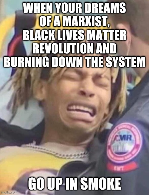 MAGA 2020! | WHEN YOUR DREAMS OF A MARXIST, BLACK LIVES MATTER REVOLUTION AND BURNING DOWN THE SYSTEM; GO UP IN SMOKE | image tagged in black lives matter,terrorists,rioters,political,politics | made w/ Imgflip meme maker