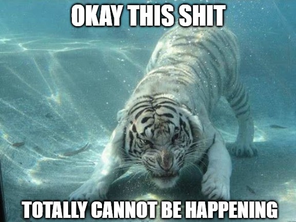 Aren't cats afraid of water? | OKAY THIS SHIT; TOTALLY CANNOT BE HAPPENING | image tagged in cats,tigers,memes,fun,funny,funny mems | made w/ Imgflip meme maker