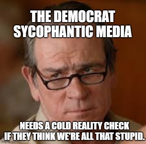 my face when someone asks a stupid question | THE DEMOCRAT SYCOPHANTIC MEDIA; NEEDS A COLD REALITY CHECK IF THEY THINK WE'RE ALL THAT STUPID. | image tagged in my face when someone asks a stupid question | made w/ Imgflip meme maker