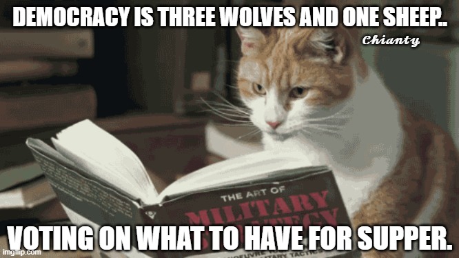 Democracy | DEMOCRACY IS THREE WOLVES AND ONE SHEEP.. 𝓒𝓱𝓲𝓪𝓷𝓽𝔂; VOTING ON WHAT TO HAVE FOR SUPPER. | image tagged in voting | made w/ Imgflip meme maker
