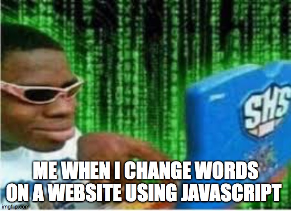 Hackerman | ME WHEN I CHANGE WORDS ON A WEBSITE USING JAVASCRIPT | image tagged in memes | made w/ Imgflip meme maker