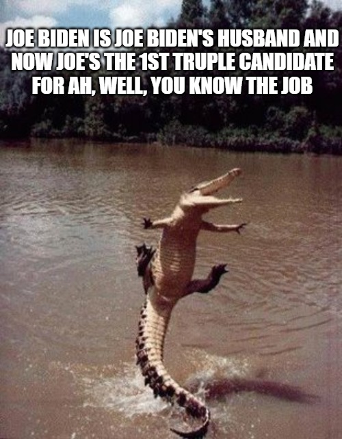 Even the gators smell a rat | JOE BIDEN IS JOE BIDEN'S HUSBAND AND
NOW JOE'S THE 1ST TRUPLE CANDIDATE
FOR AH, WELL, YOU KNOW THE JOB | image tagged in gators,biden,memes,fun,funny,animals | made w/ Imgflip meme maker