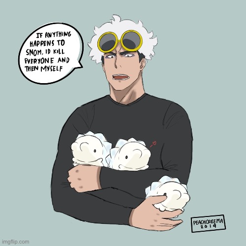 SNOM | made w/ Imgflip meme maker