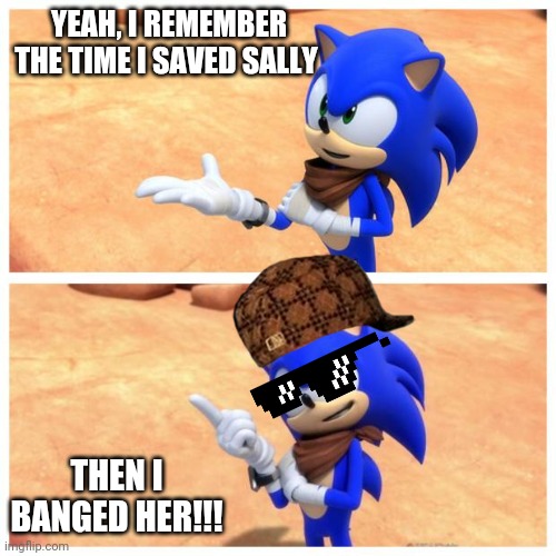 Sonic boom |  YEAH, I REMEMBER THE TIME I SAVED SALLY; THEN I BANGED HER!!! | image tagged in sonic boom,sonic the hedgehog,sonic,scumbag,memes | made w/ Imgflip meme maker