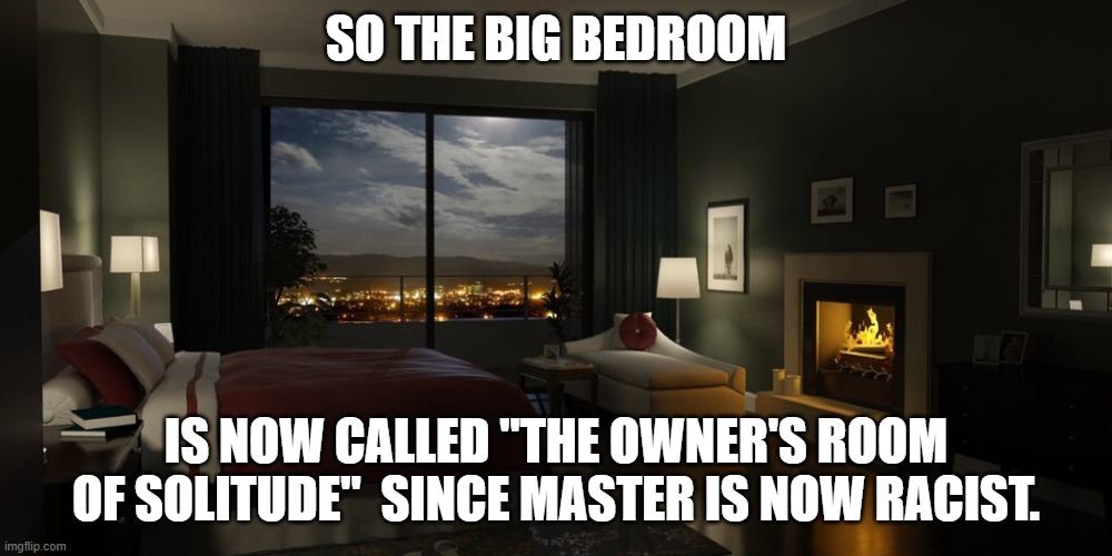 Master can no longer be used. | SO THE BIG BEDROOM; IS NOW CALLED "THE OWNER'S ROOM OF SOLITUDE"  SINCE MASTER IS NOW RACIST. | image tagged in night bedroom | made w/ Imgflip meme maker