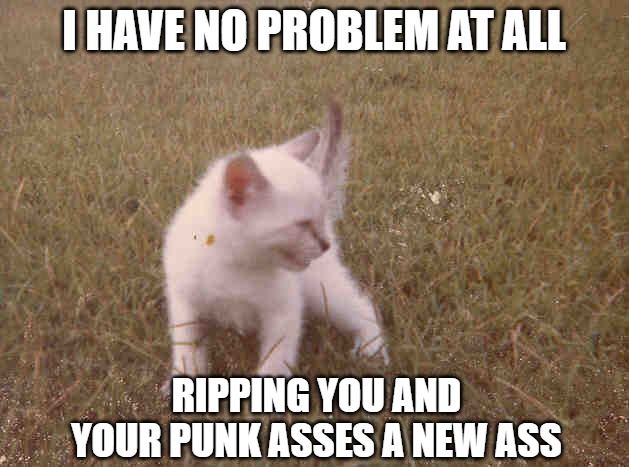 Ripping Ass | I HAVE NO PROBLEM AT ALL; RIPPING YOU AND
YOUR PUNK ASSES A NEW ASS | image tagged in cats,kitten,memes,fun,funny,1979 | made w/ Imgflip meme maker