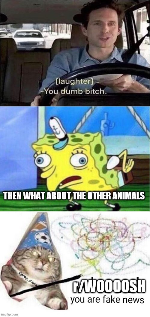 r/WOOOOSH | THEN WHAT ABOUT THE OTHER ANIMALS | image tagged in r/woooosh | made w/ Imgflip meme maker