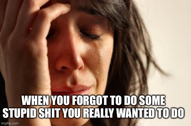 Stupid Shit | WHEN YOU FORGOT TO DO SOME STUPID SHIT YOU REALLY WANTED TO DO | image tagged in memes,first world problems | made w/ Imgflip meme maker