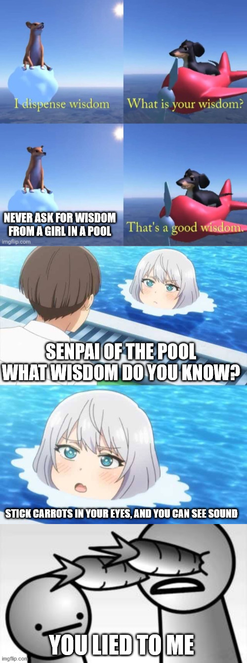 I don't know where i was going with this meme im bored | NEVER ASK FOR WISDOM FROM A GIRL IN A POOL; SENPAI OF THE POOL WHAT WISDOM DO YOU KNOW? STICK CARROTS IN YOUR EYES, AND YOU CAN SEE SOUND; YOU LIED TO ME | image tagged in asdf you lied to me,senpai of the pool,wisdom dog,memes,i don't know,bored | made w/ Imgflip meme maker