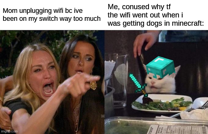 Woman Yelling At Cat | Mom unplugging wifi bc ive been on my switch way too much; Me, conused why tf the wifi went out when i was getting dogs in minecraft: | image tagged in memes,woman yelling at cat | made w/ Imgflip meme maker