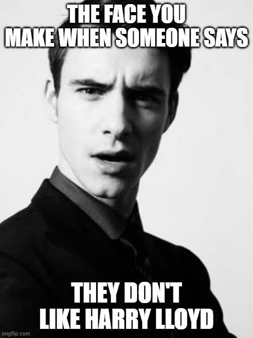 Back off haters! | THE FACE YOU MAKE WHEN SOMEONE SAYS; THEY DON'T LIKE HARRY LLOYD | image tagged in harrylloyd,celebrity | made w/ Imgflip meme maker