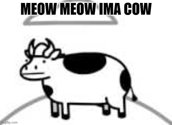 Ima Cow | MEOW MEOW IMA COW | image tagged in beep beep,meow,cow,dank memes | made w/ Imgflip meme maker
