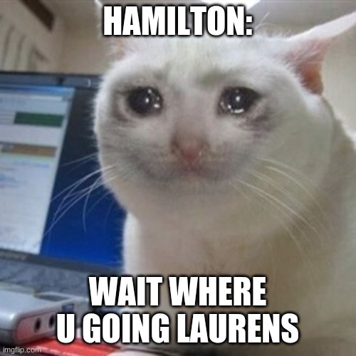 Crying cat | HAMILTON: WAIT WHERE U GOING LAURENS | image tagged in crying cat | made w/ Imgflip meme maker