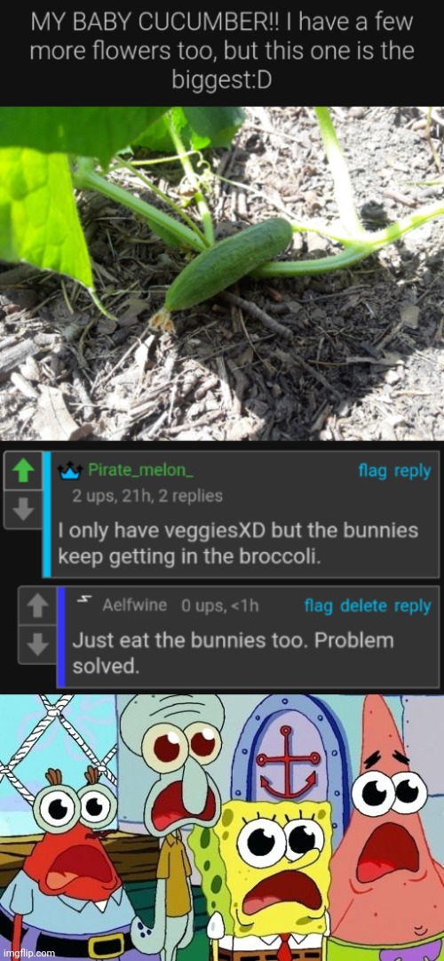 image tagged in ummmmm,cursed,comments,cucumber,garden,bunnies | made w/ Imgflip meme maker