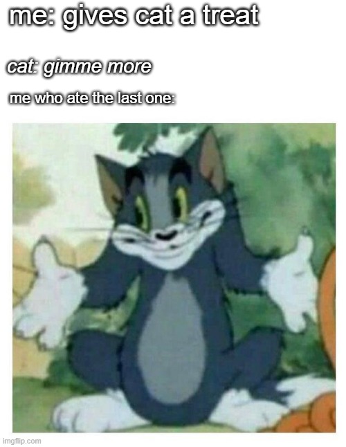 IDK Tom Template | me: gives cat a treat; cat: gimme more; me who ate the last one: | image tagged in idk tom template | made w/ Imgflip meme maker