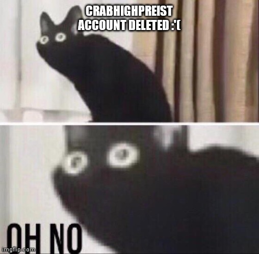Oh no cat | CRABHIGHPREIST ACCOUNT DELETED :'( | image tagged in oh no cat | made w/ Imgflip meme maker