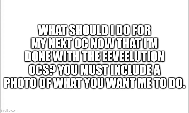 I’ll let you guys decide. | WHAT SHOULD I DO FOR MY NEXT OC NOW THAT I’M DONE WITH THE EEVEELUTION OCS? YOU MUST INCLUDE A PHOTO OF WHAT YOU WANT ME TO DO. | image tagged in white background | made w/ Imgflip meme maker