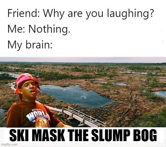 Seriously tho, I hope ski is doing ok. |  SKI MASK THE SLUMP BOG | image tagged in ski mask,funny | made w/ Imgflip meme maker