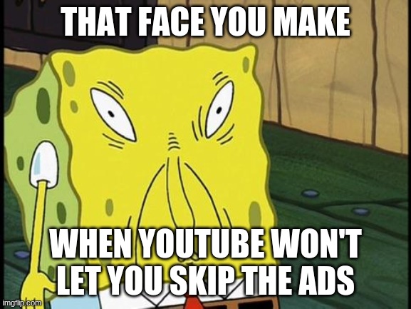 I just want to watch the stupid video | THAT FACE YOU MAKE; WHEN YOUTUBE WON'T LET YOU SKIP THE ADS | image tagged in that face you make when you see your girl without makeup | made w/ Imgflip meme maker