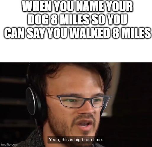 Yeah, this is big brain time | WHEN YOU NAME YOUR DOG 8 MILES SO YOU CAN SAY YOU WALKED 8 MILES | image tagged in yeah this is big brain time | made w/ Imgflip meme maker