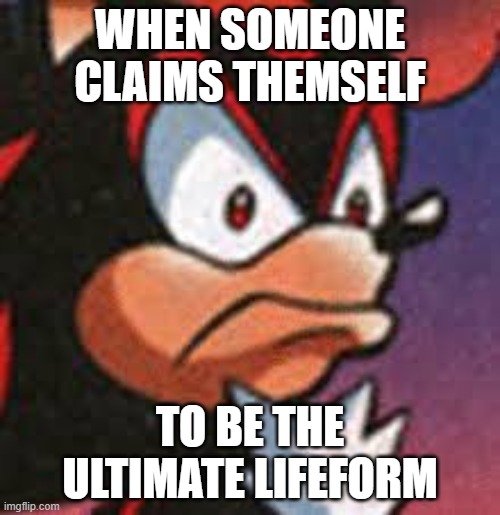 shadow offended | WHEN SOMEONE CLAIMS THEMSELF; TO BE THE ULTIMATE LIFEFORM | image tagged in shadow offended,sonic,sonic the hedgehog,shadow the hedgehog | made w/ Imgflip meme maker