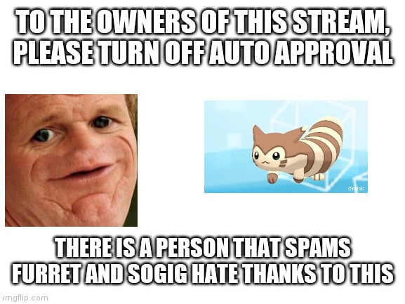 Plz | TO THE OWNERS OF THIS STREAM, PLEASE TURN OFF AUTO APPROVAL; THERE IS A PERSON THAT SPAMS FURRET AND SOGIG HATE THANKS TO THIS | image tagged in who reads these,sosig | made w/ Imgflip meme maker