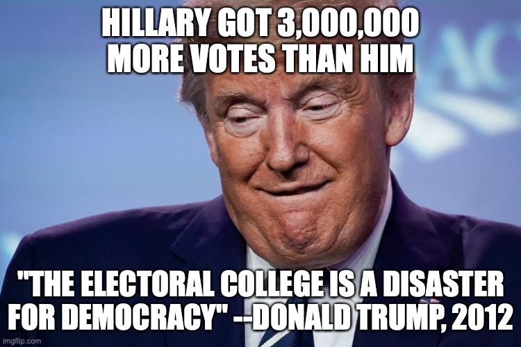 HILLARY GOT 3,000,000 MORE VOTES THAN HIM; "THE ELECTORAL COLLEGE IS A DISASTER FOR DEMOCRACY" --DONALD TRUMP, 2012 | image tagged in donald trump,electoral college | made w/ Imgflip meme maker