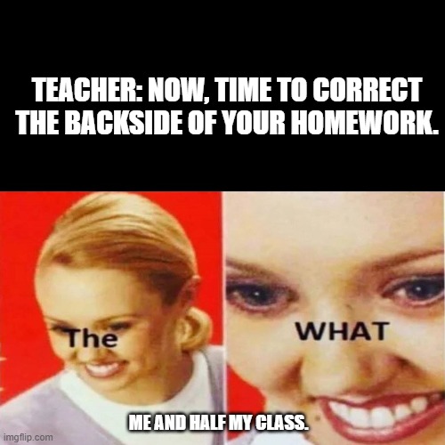 The What | TEACHER: NOW, TIME TO CORRECT THE BACKSIDE OF YOUR HOMEWORK. ME AND HALF MY CLASS. | image tagged in the what | made w/ Imgflip meme maker