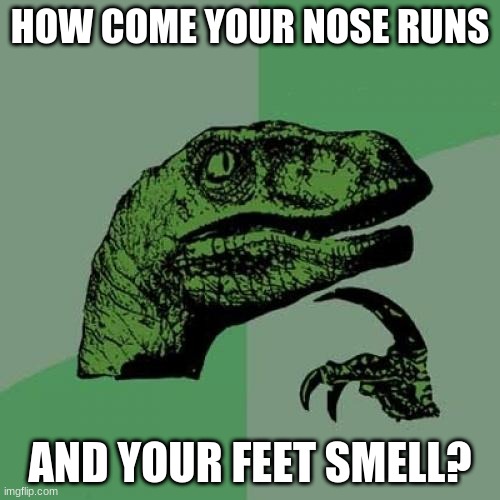 WAAAAATTTTT |  HOW COME YOUR NOSE RUNS; AND YOUR FEET SMELL? | image tagged in memes,philosoraptor | made w/ Imgflip meme maker
