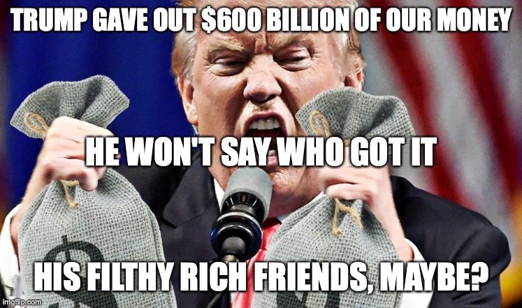TRUMP GAVE OUT $600 BILLION OF OUR MONEY; HE WON'T SAY WHO GOT IT; HIS FILTHY RICH FRIENDS, MAYBE? | image tagged in donald trump | made w/ Imgflip meme maker