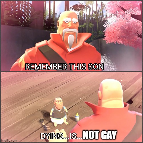 R.I.P Kitty and Rick | NOT GAY | image tagged in x is gay | made w/ Imgflip meme maker