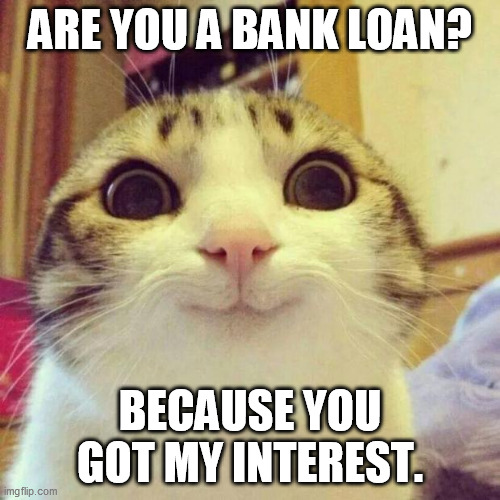 Smiling Cat | ARE YOU A BANK LOAN? BECAUSE YOU GOT MY INTEREST. | image tagged in memes,smiling cat | made w/ Imgflip meme maker
