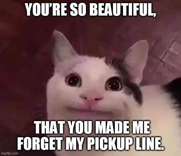 Awkward Cat | YOU’RE SO BEAUTIFUL, THAT YOU MADE ME FORGET MY PICKUP LINE. | image tagged in awkward cat | made w/ Imgflip meme maker