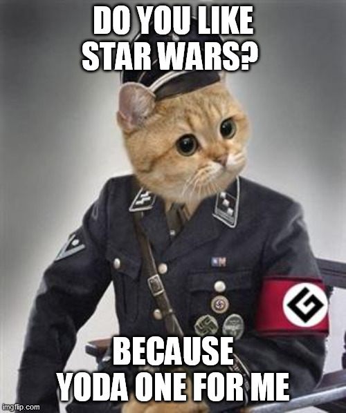 Grammar Nazi Cat | DO YOU LIKE STAR WARS? BECAUSE YODA ONE FOR ME | image tagged in grammar nazi cat | made w/ Imgflip meme maker