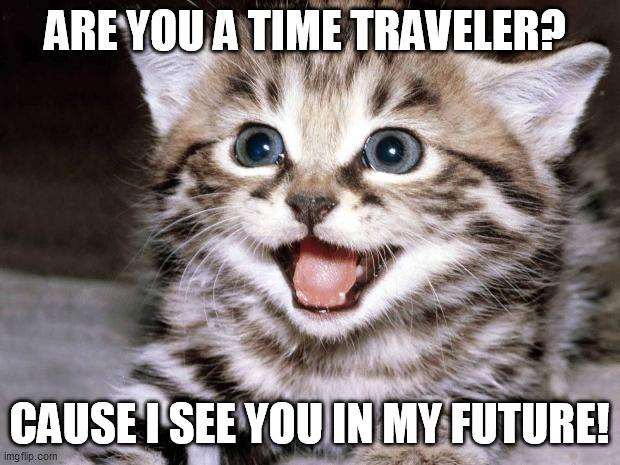 Uber Cute Cat | ARE YOU A TIME TRAVELER? CAUSE I SEE YOU IN MY FUTURE! | image tagged in uber cute cat | made w/ Imgflip meme maker