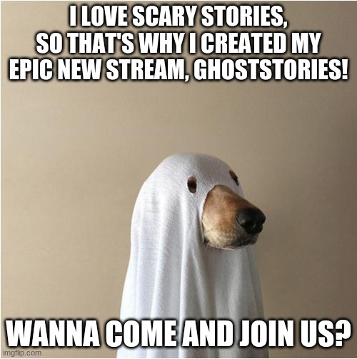 Here's the link: https://imgflip.com/m/Ghoststories | I LOVE SCARY STORIES, SO THAT'S WHY I CREATED MY EPIC NEW STREAM, GHOSTSTORIES! WANNA COME AND JOIN US? | image tagged in ghost doge | made w/ Imgflip meme maker