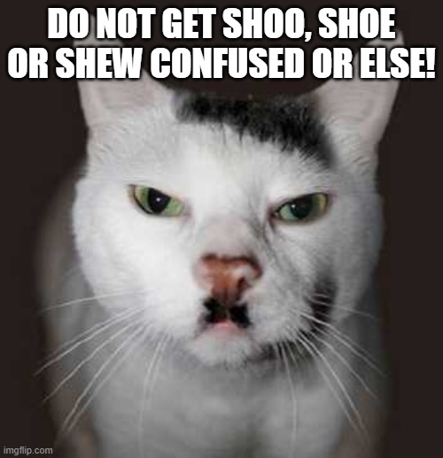 Nazi Cat | DO NOT GET SHOO, SHOE OR SHEW CONFUSED OR ELSE! | image tagged in nazi cat,grammar nazi cat,grammar nazi,nazi | made w/ Imgflip meme maker
