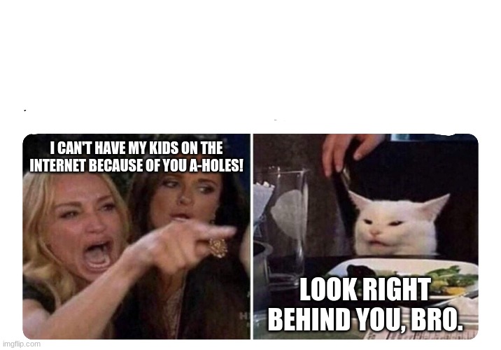 Housewives cat | I CAN'T HAVE MY KIDS ON THE INTERNET BECAUSE OF YOU A-HOLES! LOOK RIGHT BEHIND YOU, BRO. | image tagged in housewives cat | made w/ Imgflip meme maker