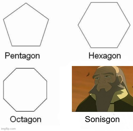 I am so sorry, please don't hunt me down | Sonisgon | image tagged in memes,pentagon hexagon octagon,avatar the last airbender | made w/ Imgflip meme maker