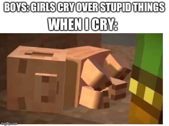 If u didn’t cry here your heartless | WHEN I CRY:; BOYS: GIRLS CRY OVER STUPID THINGS | image tagged in minecraft,cry | made w/ Imgflip meme maker