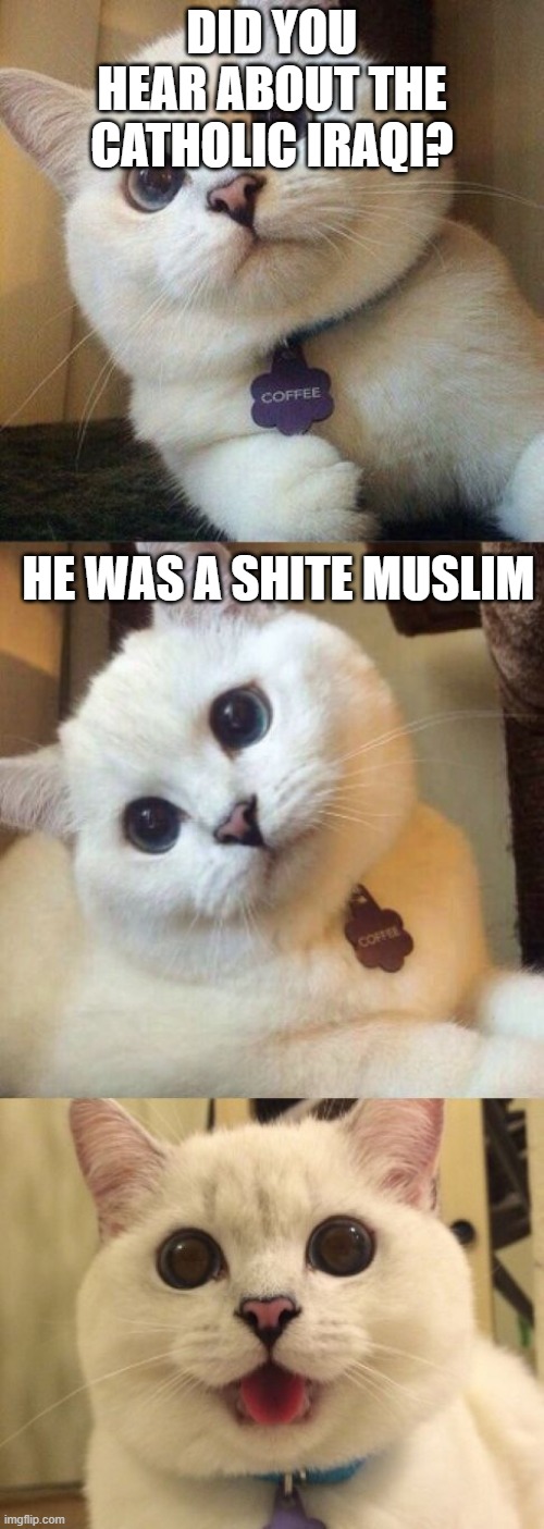 bad pun cat  | DID YOU HEAR ABOUT THE CATHOLIC IRAQI? HE WAS A SHITE MUSLIM | image tagged in bad pun cat,catholicism,catholic,islam,muslims,funny cat memes | made w/ Imgflip meme maker